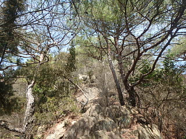 f0334143_2122444.jpg