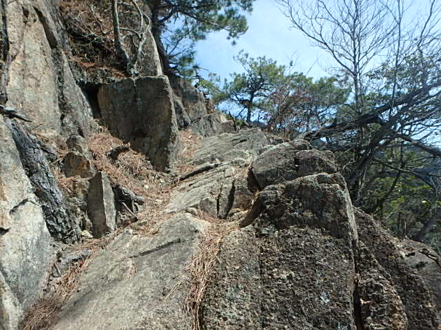 f0334143_2123046.jpg