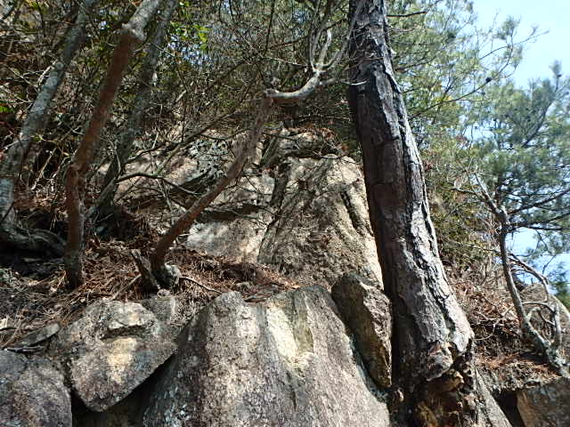 f0334143_213369.jpg