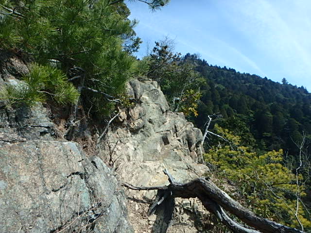 f0334143_2134440.jpg