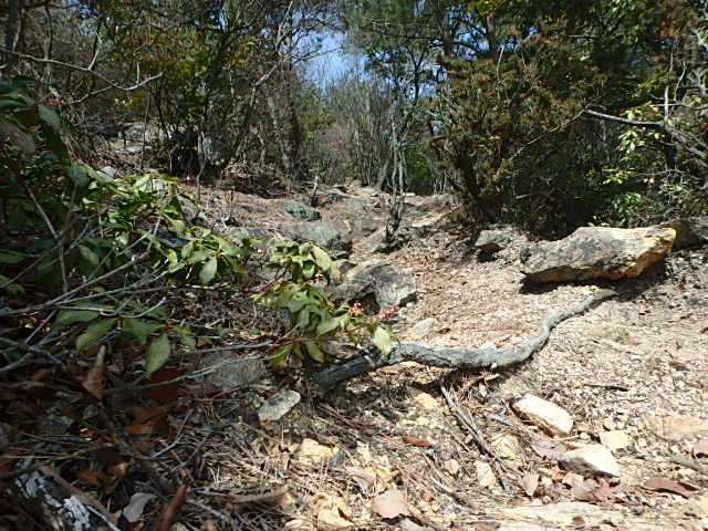 f0334143_2135766.jpg