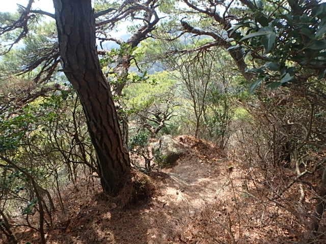 f0334143_2144626.jpg