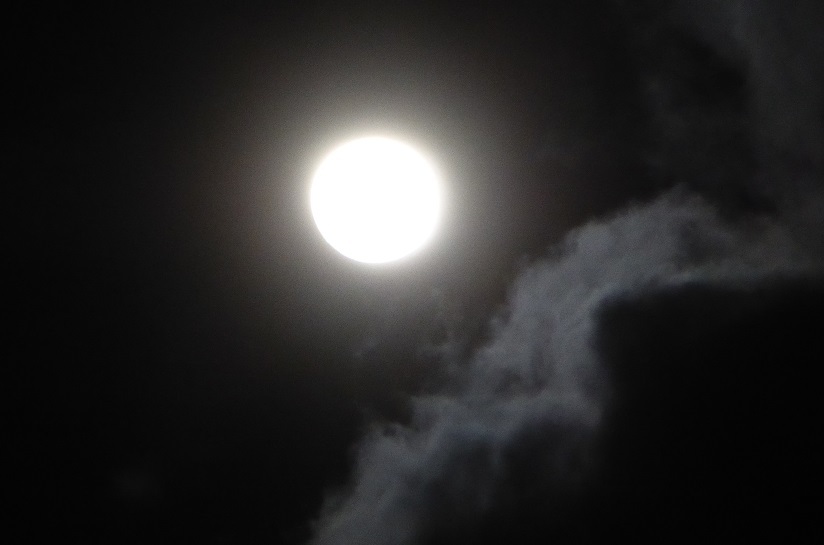 d0288144_00575550.jpg