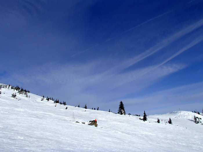 b0067346_23421269.jpg
