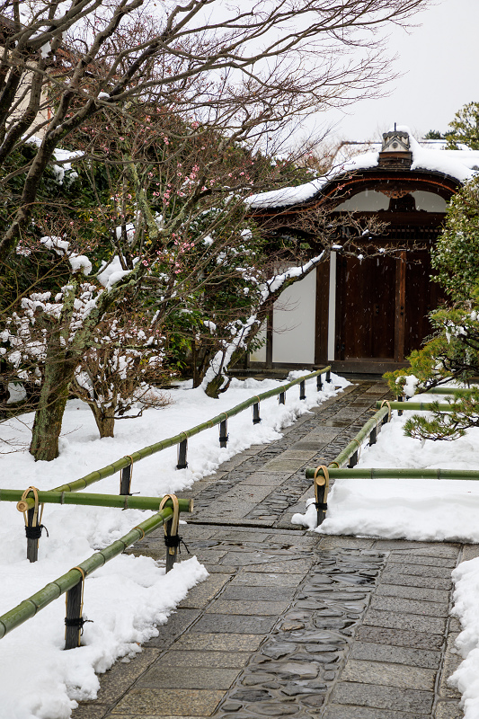 大徳寺・瑞峯院の雪景色_f0155048_22125149.jpg