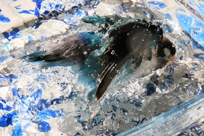 c0145250_10541030.jpg