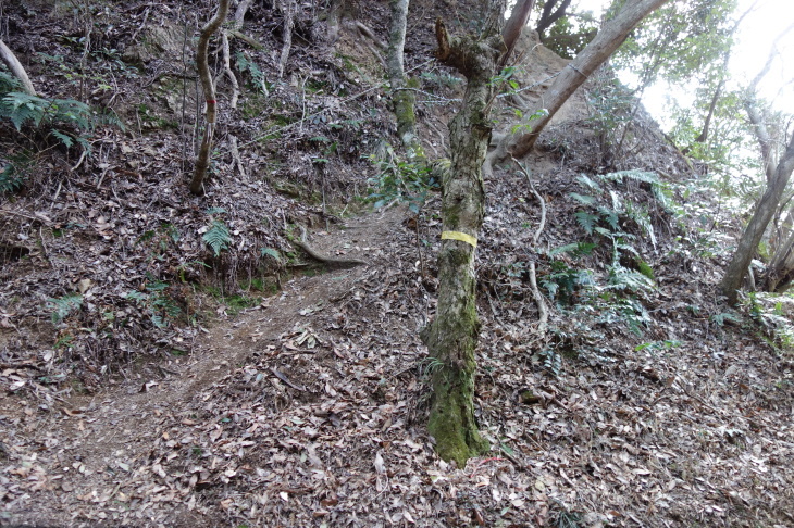 d0345153_21571256.jpg