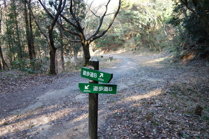 d0345153_21583626.jpg