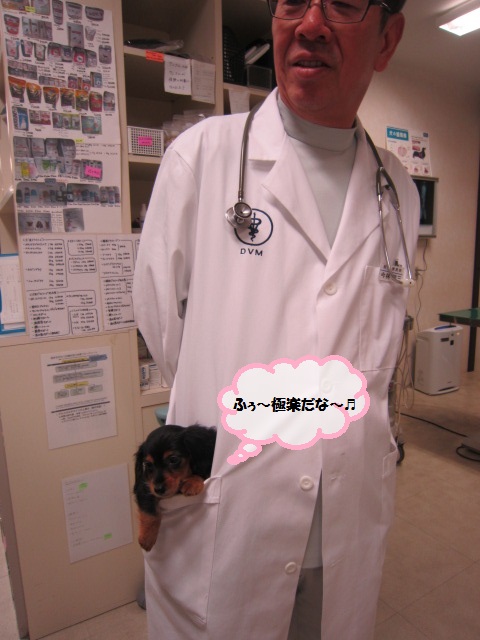 【むぎとこむぎ】_b0059154_11303745.jpg