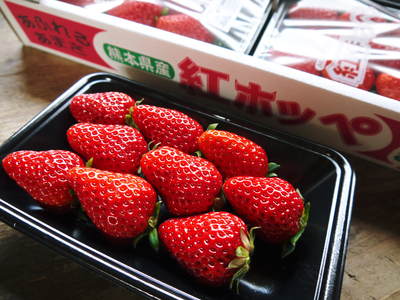 熊本産高級イチゴ『完熟紅ほっぺ』　今年もレギュラーパックは3月中旬、平積みパックは4月中旬まで！_a0254656_1845911.jpg