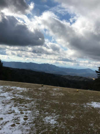 b0324461_11555469.jpg