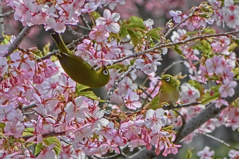 e0019563_21301621.jpg