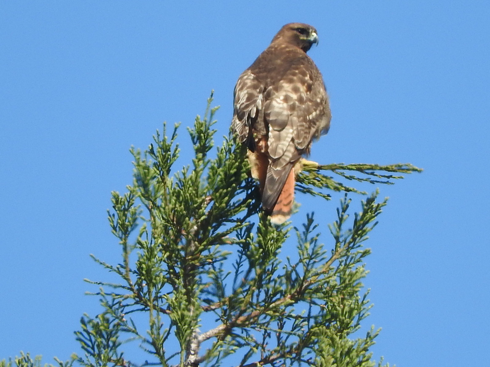 c0115366_22474979.jpg