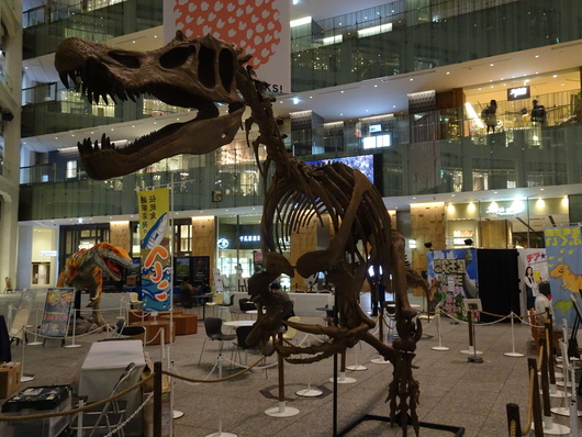 d0193569_755147.jpg