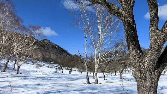 片道600円で自宅から一気に「北欧」へ！_a0155370_11433692.jpg