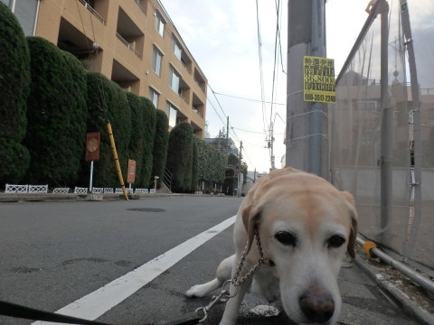 f0052277_01281485.jpg