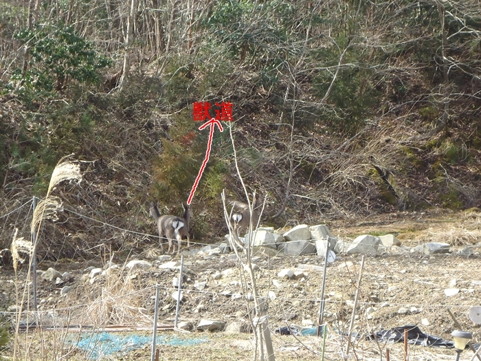 a0199979_17015646.jpg