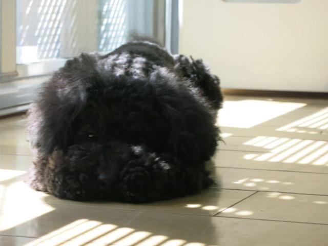 d0289980_21143560.jpeg