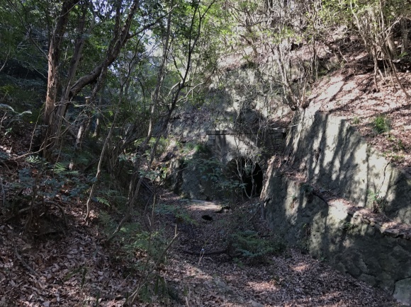 e0024081_21025613.jpg
