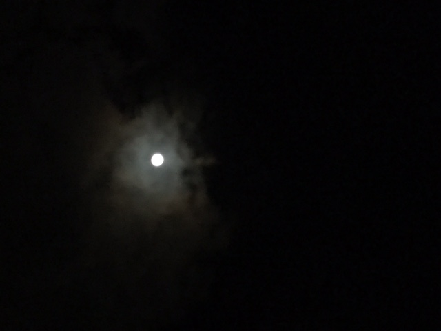 a0166183_10403092.jpg