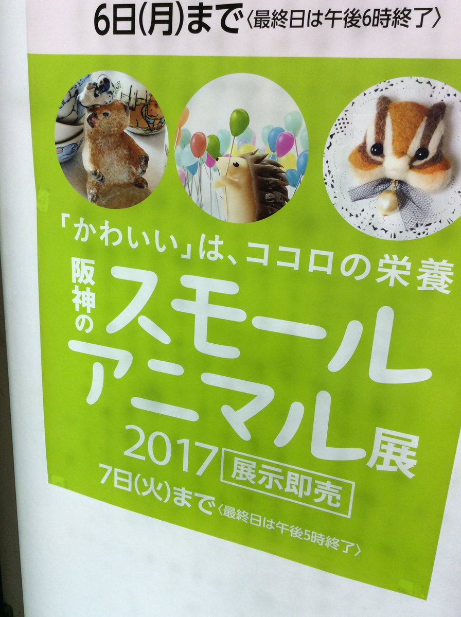 2017阪神のスモールアニマル展終了しました。_d0123492_13543533.jpg