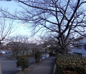 b0364601_20220193.jpg