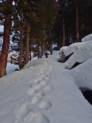 西山散歩!_c0336902_14595575.jpg