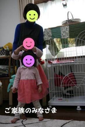 いちごちゃん 新生活スタート!_f0242002_00230636.jpg