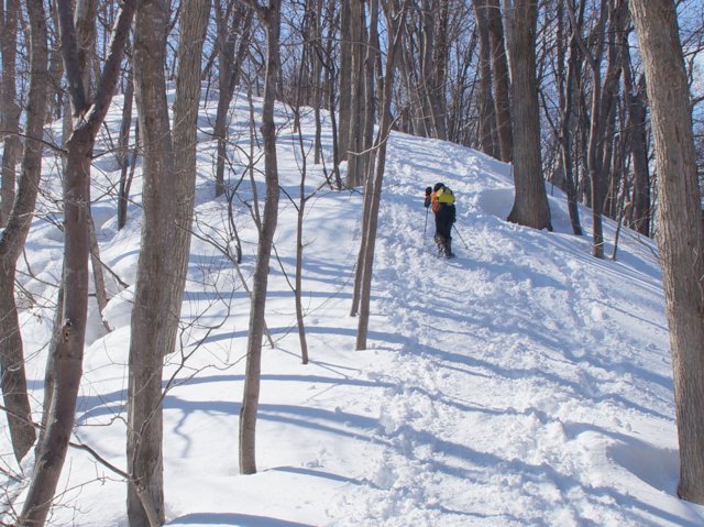 2017年3月12日（日）　藻岩山(標高531m)　旭山公園コース_a0345007_8222695.jpg