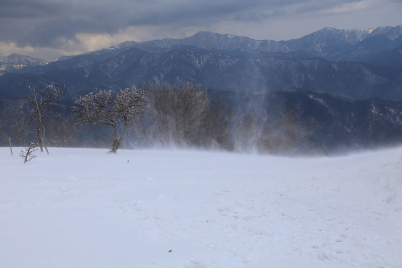 いい天気だと思って行った蛇谷ヶ峰！_e0077010_22265240.jpg