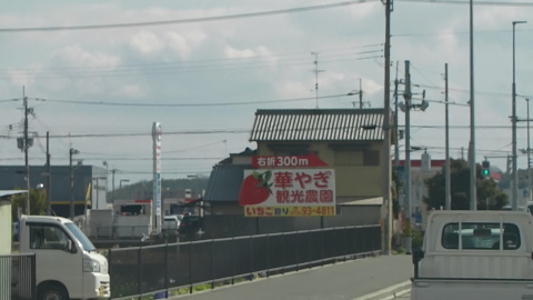3/11(土) イチゴ狩りに行って来ました〜 (^-^)v_a0059812_15533019.jpg