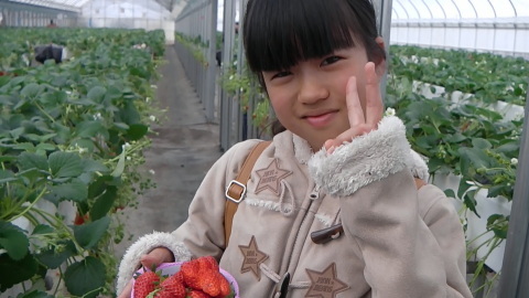 3/11(土) イチゴ狩りに行って来ました〜 (^-^)v_a0059812_16195278.jpg