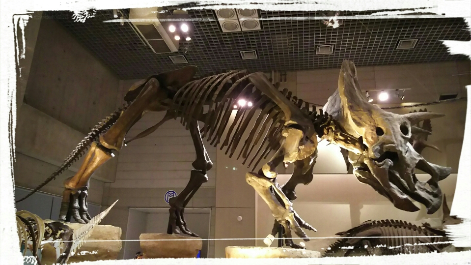 b0236114_0404412.jpg
