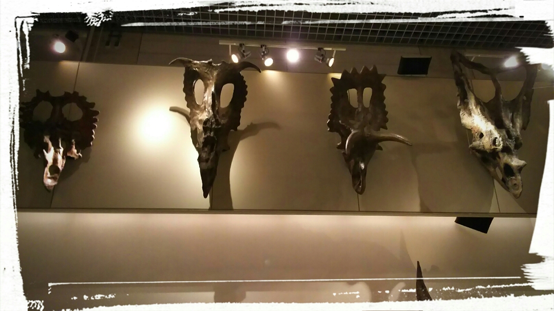 b0236114_0404489.jpg