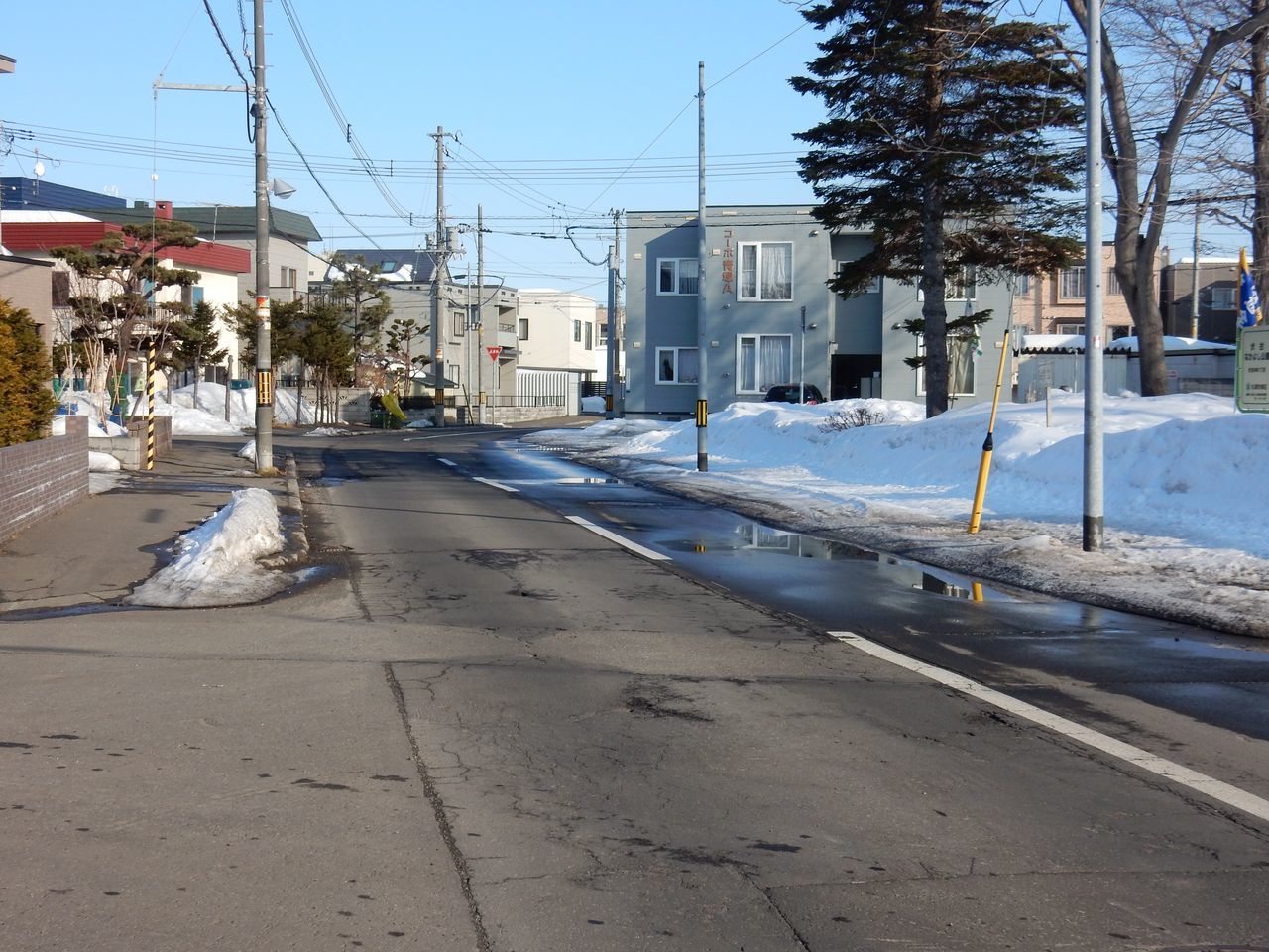 On the sunny side of the street_c0025115_21540649.jpg