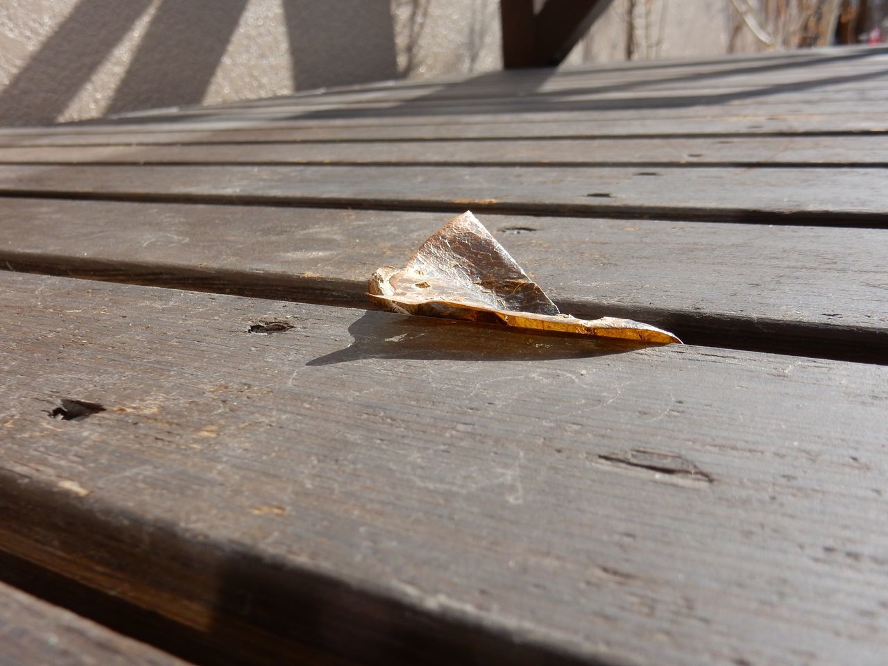 On the sunny side of the street_c0025115_21541014.jpg