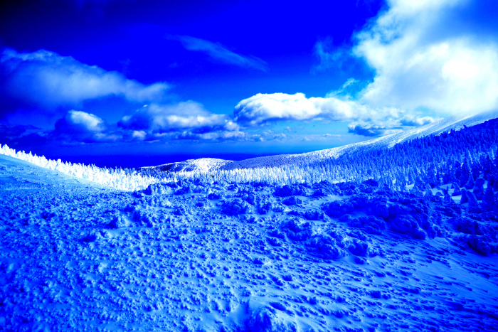 e0348420_04033674.jpg