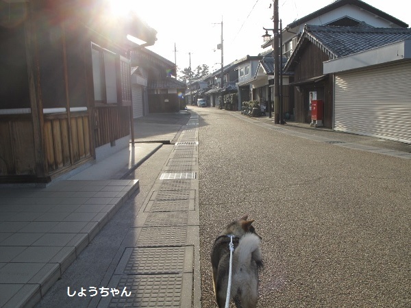 f0143123_09265635.jpg