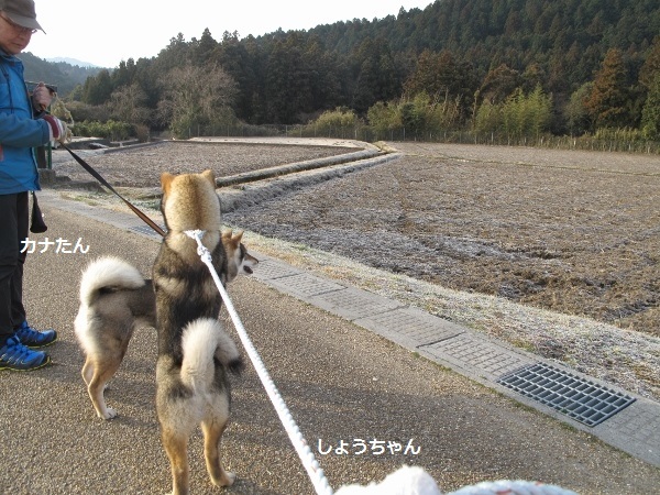 f0143123_09410514.jpg