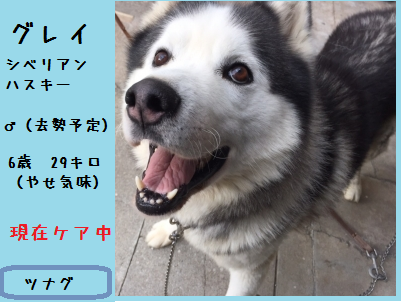 f0343323_07423604.png