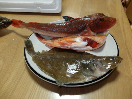 f0362524_19501271.jpg