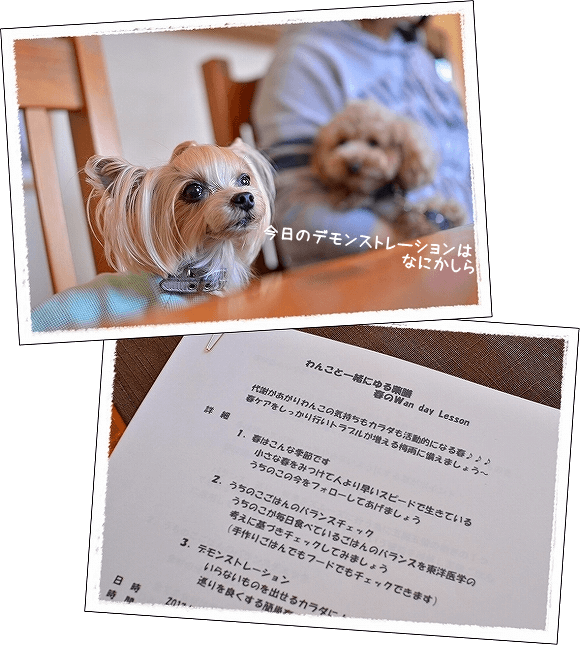 d0179828_08035093.png