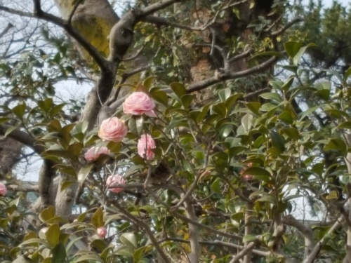 e0016828_09451923.jpg
