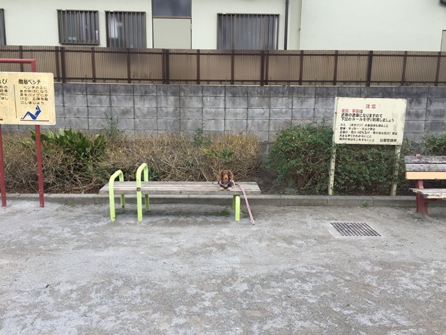 c0117831_17372129.jpg