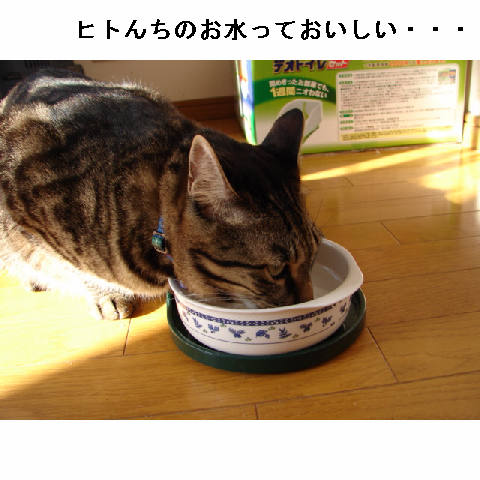 入りびたり_d0355333_11251650.jpg