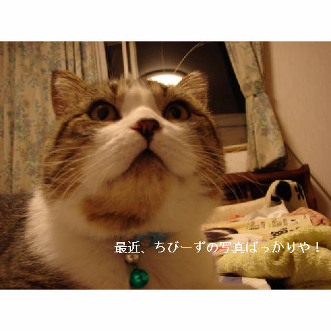 拾う神あり。_d0355333_11260945.jpg