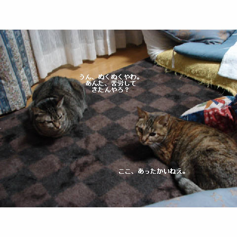 またまたトイレ考_d0355333_11270028.jpg