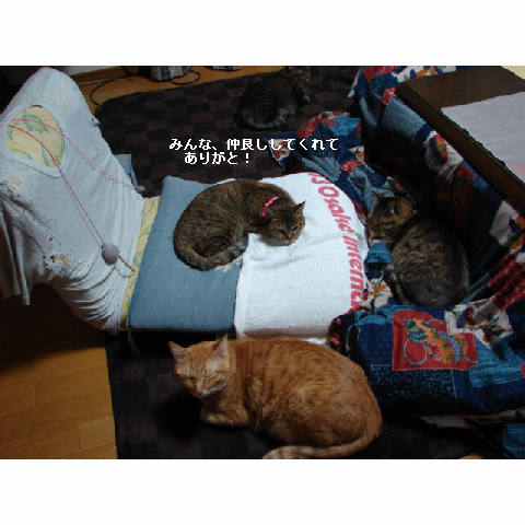 またまたトイレ考_d0355333_11270127.jpg