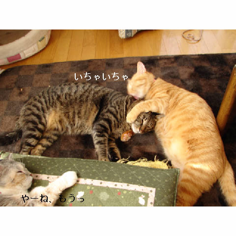 仲良し♪_d0355333_11270666.jpg