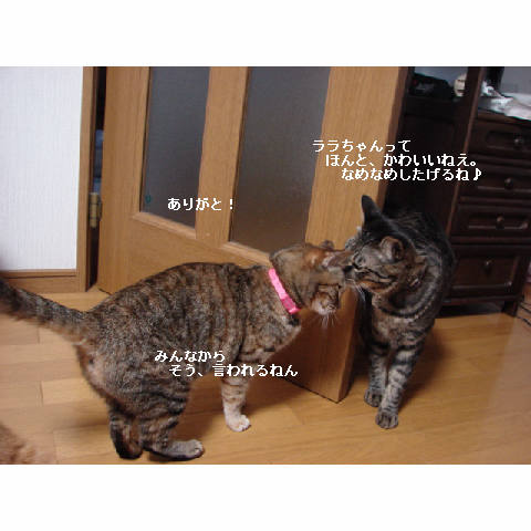 カワイイ子は得♪_d0355333_11270697.jpg